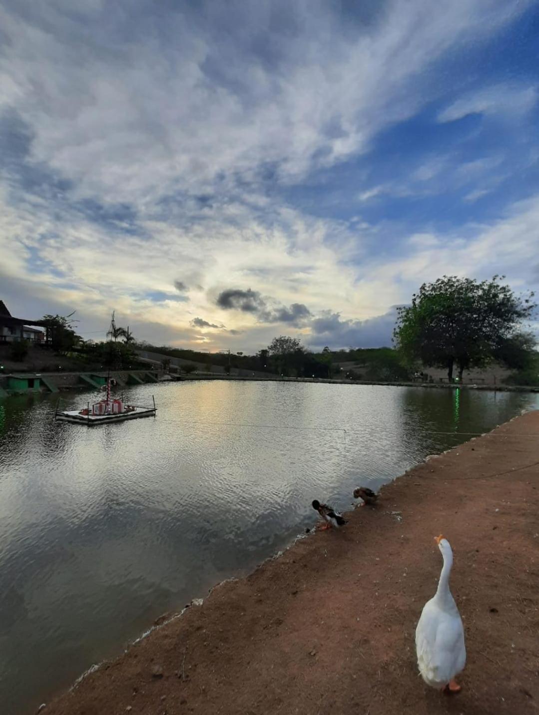 Flat Com Vista Magnifica! Winterville Gravata Pe Экстерьер фото